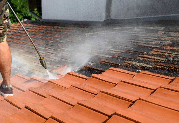 Best Pressure Washing Cost  in New London, TX