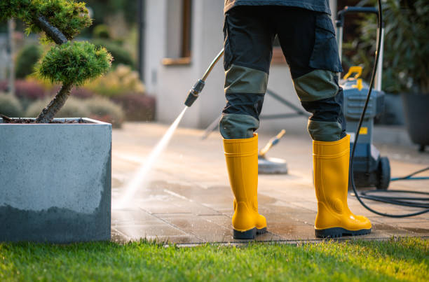 Best Power Washing Near Me  in New London, TX